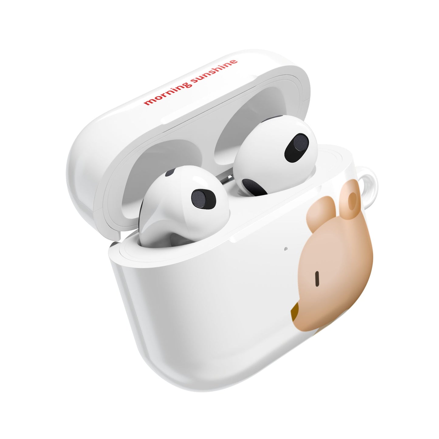 Sunny Day Sky AirPod/AirPod Pro Case