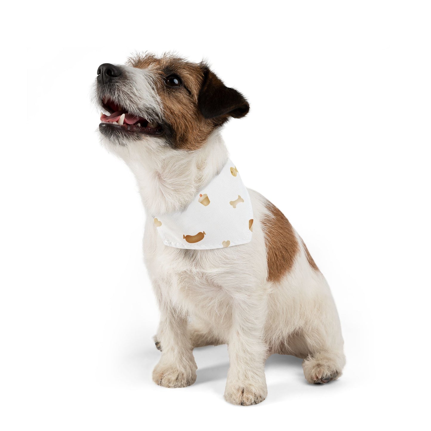 It Takes Two Pet Bandana Collar